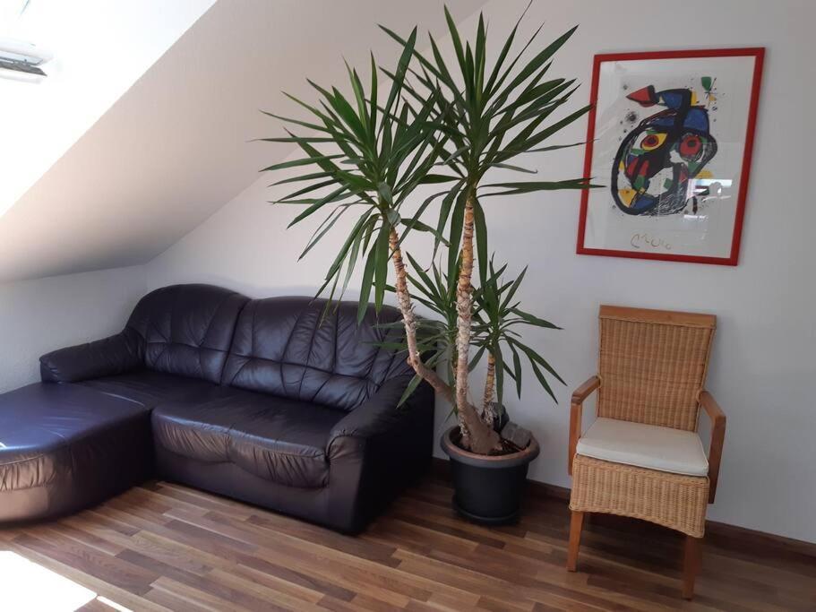 Tolle Wohnung In Zentraler Lage In 뉴울름 외부 사진